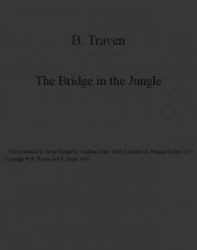 The Bridge in the Jungle