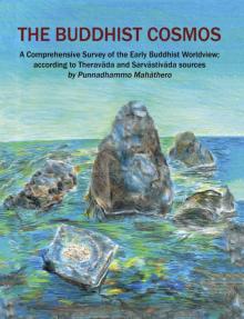 The Buddhist Cosmos