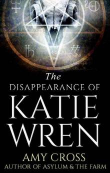 The Disappearance of Katie Wren