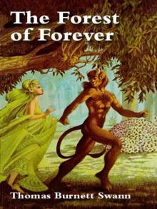 The Forest of Forever (1987)