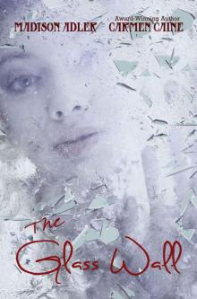 The Glass Wall - ( The Glass Wall Series - Book 1)