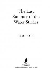 The Last Summer of the Water Strider