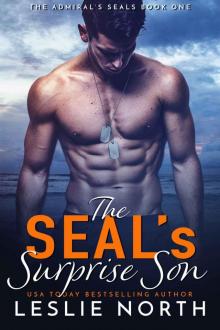 The SEAL’s Surprise Son: The Admiral’s SEALs Book One