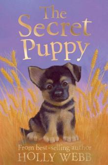 The Secret Puppy