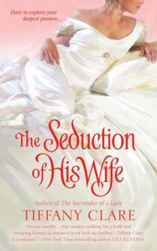 The Seduction of His Wife