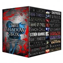 The Shadow Box: Paranormal Suspense and Dark Fantasy Thriller Novels