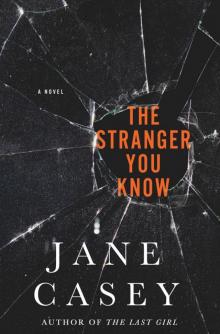 The Stranger You Know (Maeve Kerrigan Novels)