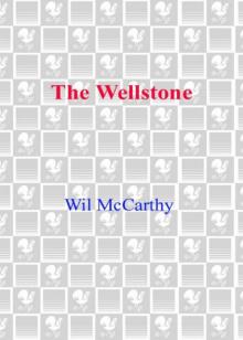 The Wellstone