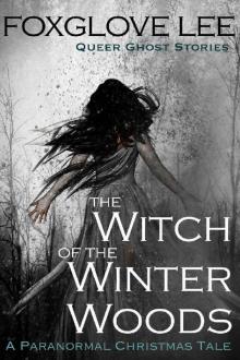 The Witch of the Winter Woods