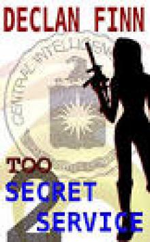 Too Secret Service: Part Two