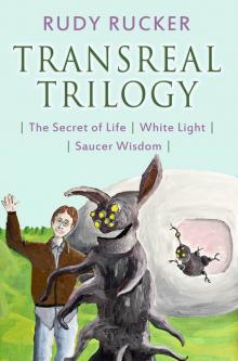 Transreal Trilogy: Secret of Life, White Light, Saucer Wisdom