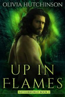 Up In Flames (Netherworld Series Book 2)