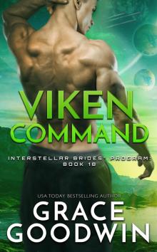 Viken Command