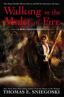 Walking In the Midst of Fire: A Remy Chandler Novel