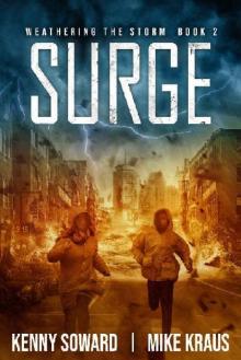 Weathering The Storm (Book 2): Surge