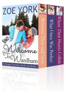 Welcome to Wardham: Contemporary Erotic Romance Bundle