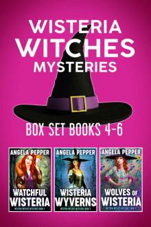 Wisteria Witches Mysteries Box Set 2