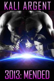 3013: MENDED (3013: The Series Book 6)