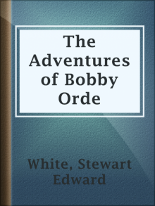Adventures of Bobby Orde