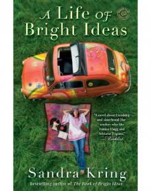 A Life of Bright Ideas