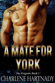 A Mate for York