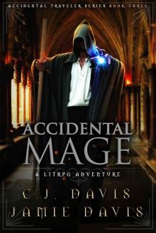 Accidental Mage: Book Three in the LitRPG Accidental Traveler Adventure