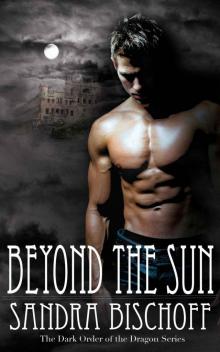 Beyond The Sun