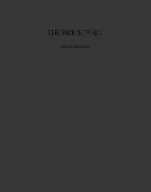 BrickWall_Kobo