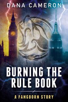 Burning the Rule Book