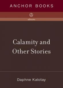 Calamity and Other Stories