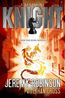 Callsign: Knight - Book 1 (A Shin Dae-jung - Chess Team Novella)