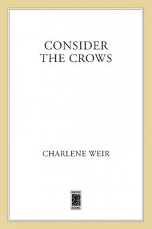 Consider the Crows