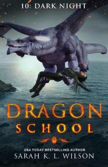 Dragon School_Dark Night