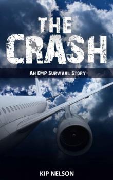 EMP Crash (Book 1): Crash (An EMP Survival Story)