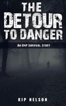 EMP Crash (Book 3): The Detour To Danger