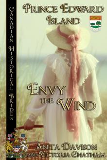 Envy the Wind