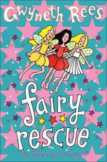 Fairy Rescue