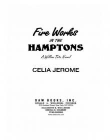 Fire Works in the Hamptons : A Willow Tate Novel (9781101547649)