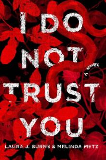 I Do Not Trust You: A Novel