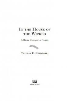 In the House of the Wicked: A Remy Chandler Novel
