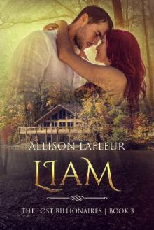 Liam: The Lost Billionaires, Book 3