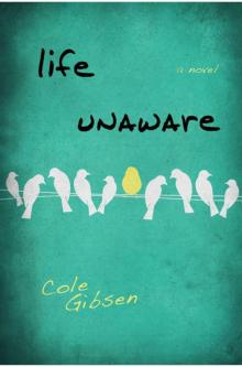 Life Unaware (Entangled Teen)