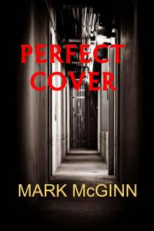 Perfect Cover (Short story)