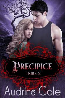 Precipice (Tribe 2)