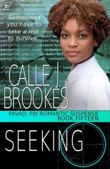 Seeking (PAVAD: FBI Romantic Suspense, #15)