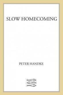 Slow Homecoming