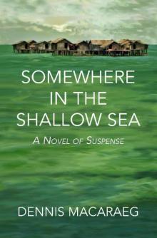 Somewhere in the Shallow Sea: A Novel of Suspense