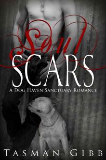 Soul Scars (Dog Haven Sanctuary Romance)