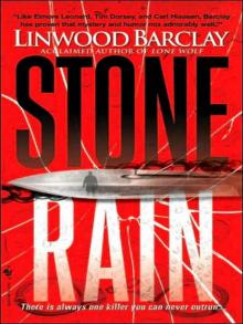 Stone Rain zw-4