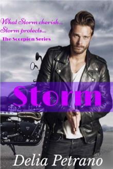 Storm (The Scorpion MC Series Book 3)